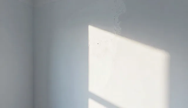 本地产品性能与适用条件的比较分析